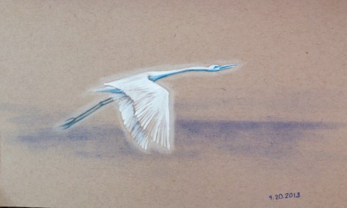 QUick Sketch (20 minutes)